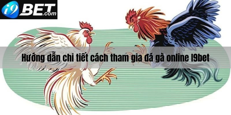 Hướng dẫn chi tiết cách thức tham gia đá gà I9bet