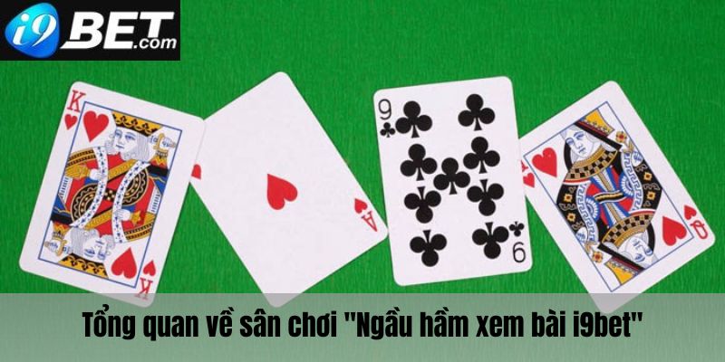 Tổng quan về sân chơi ngầu hầm xem bài i9bet